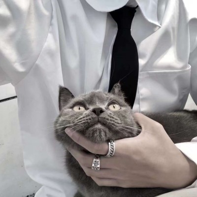 ����:��λ��ͷ| �������ӳ������ ��������˵�ڽ�����