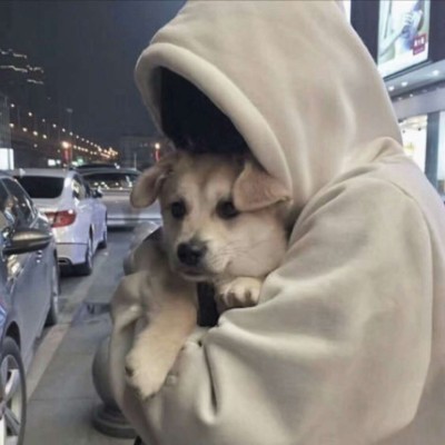 ��ɫ������������ ���������� �����úܺ�