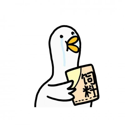 ʮ���ӭ�����򡰰��ҡ���������·