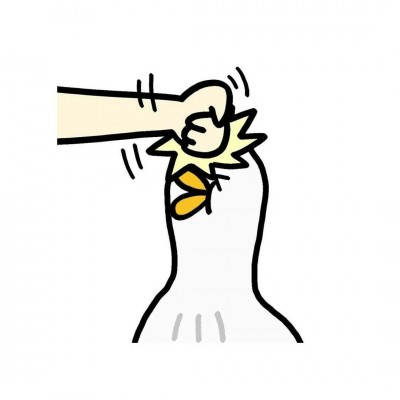 ʮ���ӭ�����򡰰��ҡ���������·