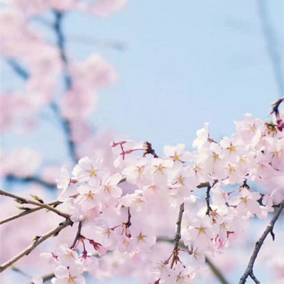 ?ʮ�������ʱ�����У�������ʱĪǿ��