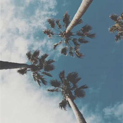 ?ʮ�������ʱ�����У�������ʱĪǿ��