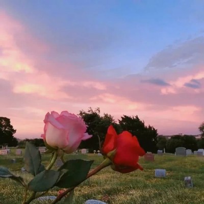 ?ʮ�������ʱ�����У�������ʱĪǿ��