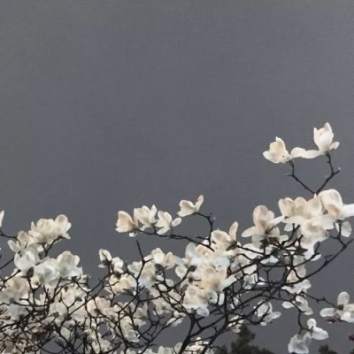 ?ʮ�������ʱ�����У�������ʱĪǿ��