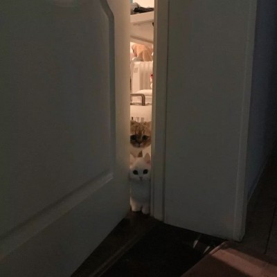 ?ʮ�������ʱ�����У�������ʱĪǿ��