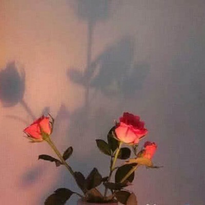 ?ʮ�������ʱ�����У�������ʱĪǿ��