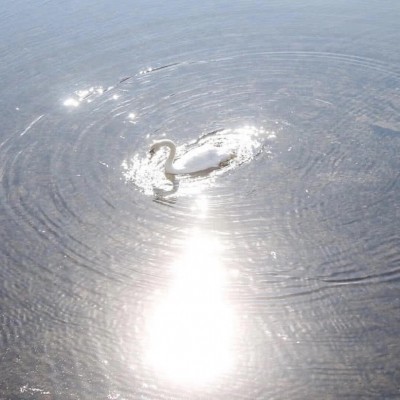 ʮ�����