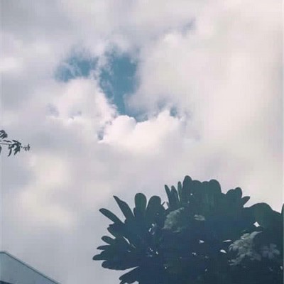 ʮ�����