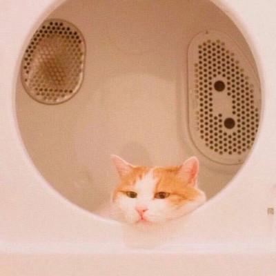 ʮ�����