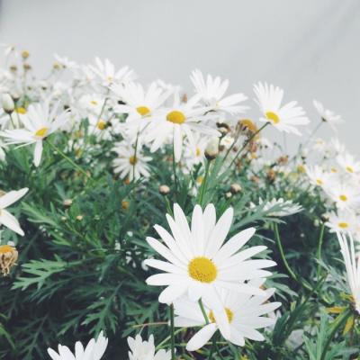 ���¸����΢��ͷ��羰        ��������������