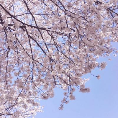 ���¸����΢��ͷ��羰        ��������������