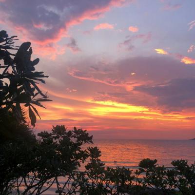 ���¸����΢��ͷ��羰        ��������������