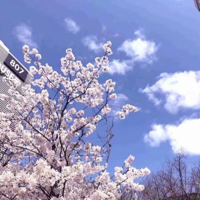 ���¸����΢��ͷ��羰        ��������������