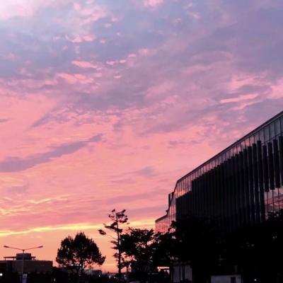 ���¸����΢��ͷ��羰        ��������������