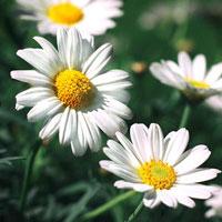 Ԣ��2019����΢��ͷ��     ������ζ