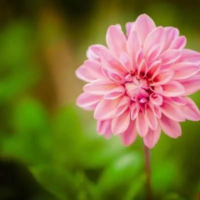 Ԣ��2019����΢��ͷ��     ������ζ