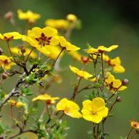 Ԣ��2019����΢��ͷ��     ������ζ