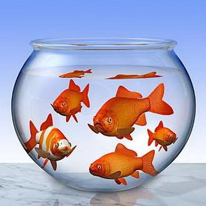 Ԣ��2019����΢��ͷ��     ������ζ