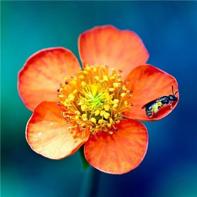 Ԣ��2019����΢��ͷ��     ������ζ