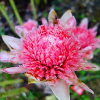 Ԣ��2019����΢��ͷ��     ������ζ