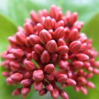 Ԣ��2019����΢��ͷ��     ������ζ