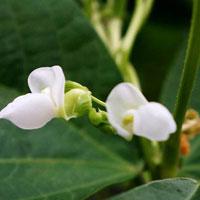 Ԣ��2019����΢��ͷ��     ������ζ