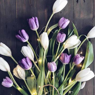 2019΢�ż�������ͷ��      �绨���۲�