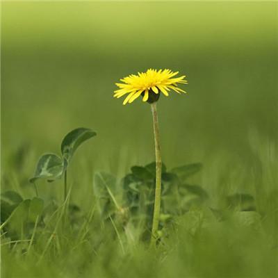 2019΢�ż�������ͷ��      �绨���۲�