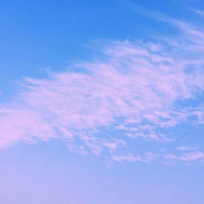 2019΢�ż�������ͷ��      �绨���۲�