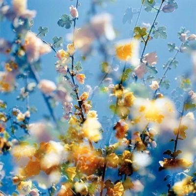 2019΢�ż�������ͷ��      �绨���۲�