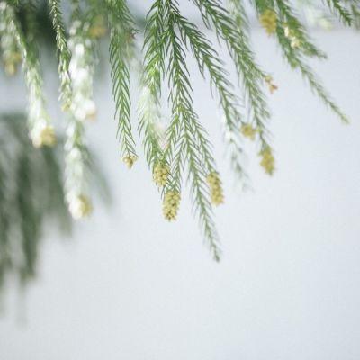 2019΢�ż�������ͷ��      �绨���۲�