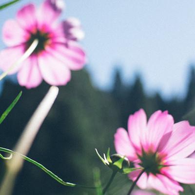 ��������˵�΢��ͷ��      ��̾������