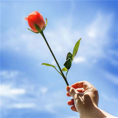 ��������˵�΢��ͷ��      ��̾������