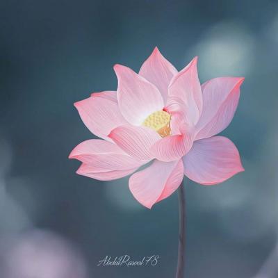 ΢��ͷ��羰����ͼƬ     ��ů����