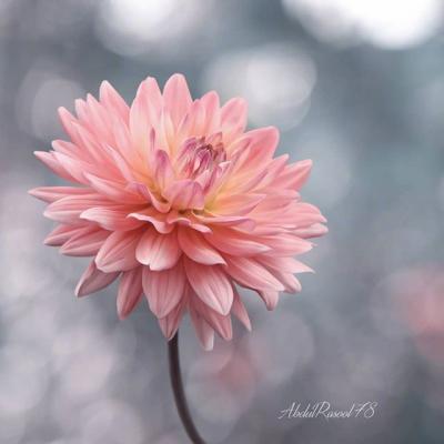 ΢��ͷ��羰����ͼƬ     ��ů����