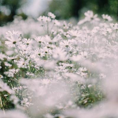 ΢��ͷ��羰����ͼƬ     ��ů����