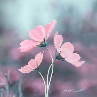 ΢��ͷ��羰����ͼƬ     ��ů����