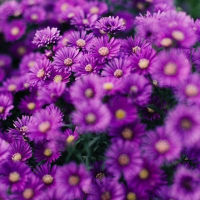 ΢��ͷ��羰����ͼƬ     ��ů����