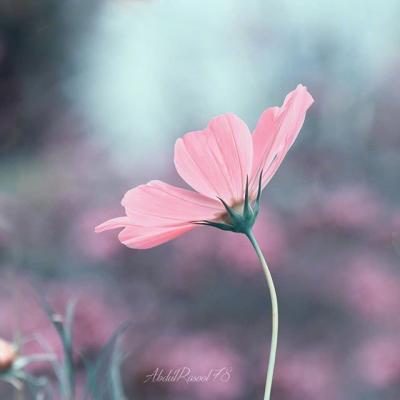 ΢��ͷ��羰����ͼƬ     ��ů����