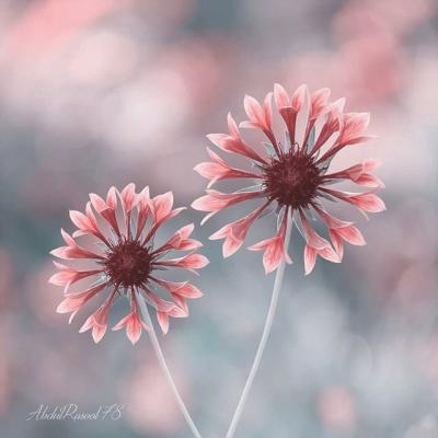 ΢��ͷ��羰����ͼƬ     ��ů����