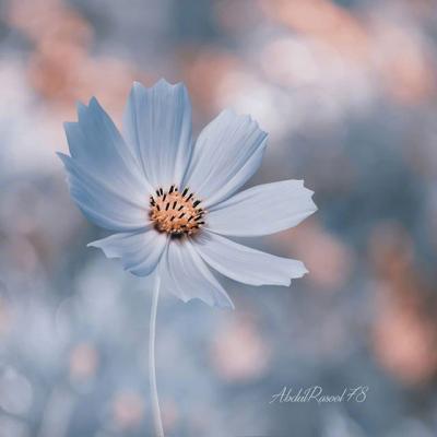 ΢��ͷ��羰����ͼƬ     ��ů����