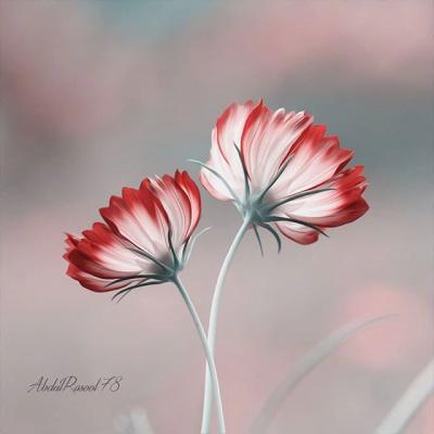 ΢��ͷ��羰����ͼƬ     ��ů����