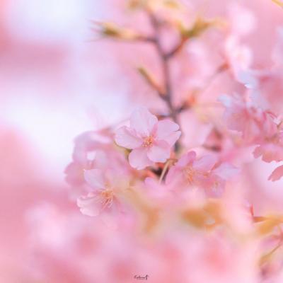 ΢��ͷ��羰����ͼƬ     ��ů����