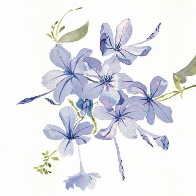 ΢��ͷ��羰����ͼƬ     ��ů����