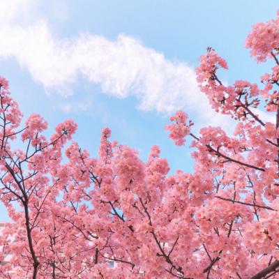 ΢��ͷ��羰����ͼƬ     ��ů����