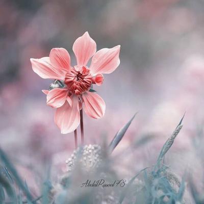 ΢��ͷ��羰����ͼƬ     ��ů����