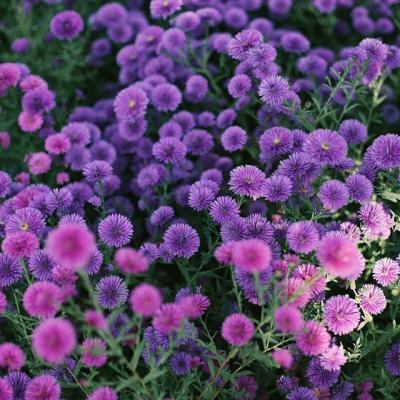 ΢��ͷ��羰����ͼƬ     ��ů����