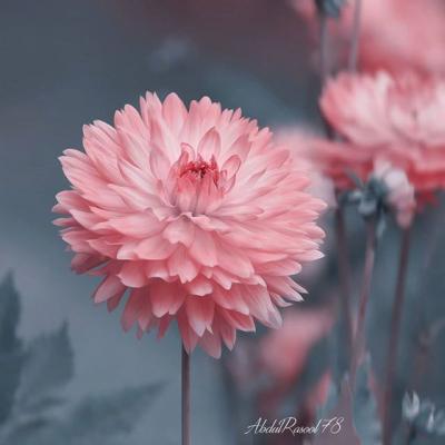 ΢��ͷ��羰����ͼƬ     ��ů����