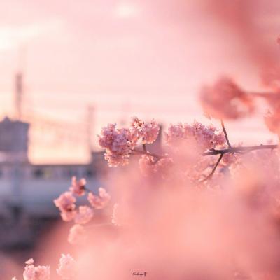 ΢��ͷ��羰����ͼƬ     ��ů����