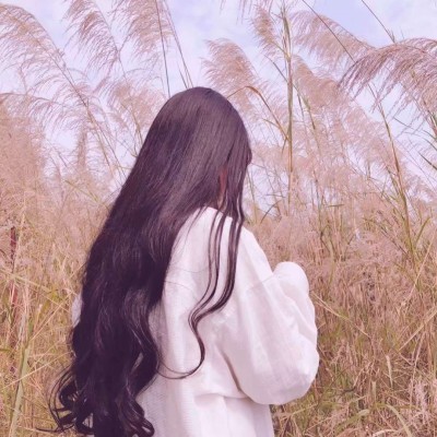 ����ͷ��.������һ���ÿһ�춼��Fine